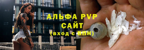 молекула духа Арсеньев