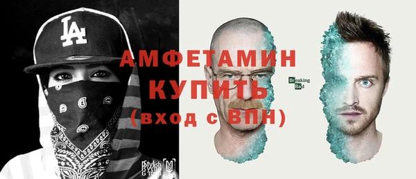 молекула духа Арсеньев