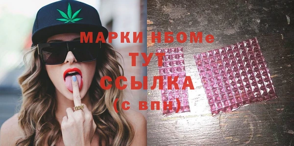 молекула духа Арсеньев