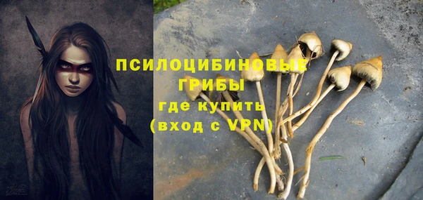 молекула духа Арсеньев