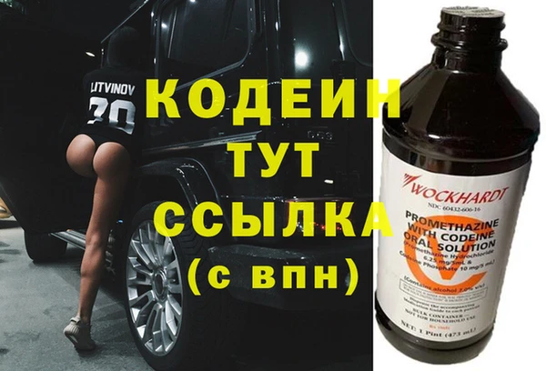молекула духа Арсеньев