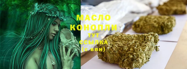 молекула духа Арсеньев