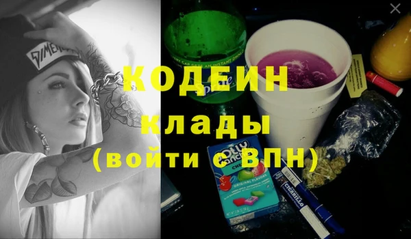 молекула духа Арсеньев