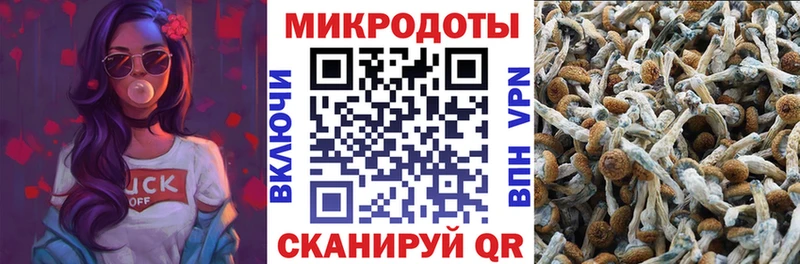 Галлюциногенные грибы Psilocybe  Купить закладки  Нахабино 